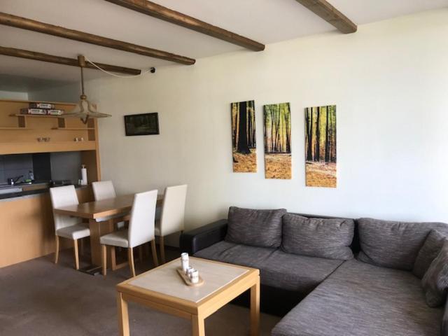 Panoramic Apartments Hohegeiß Eksteriør bilde