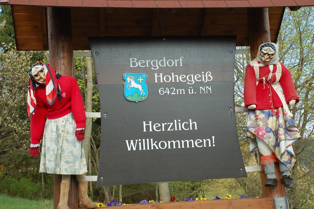 Panoramic Apartments Hohegeiß Eksteriør bilde