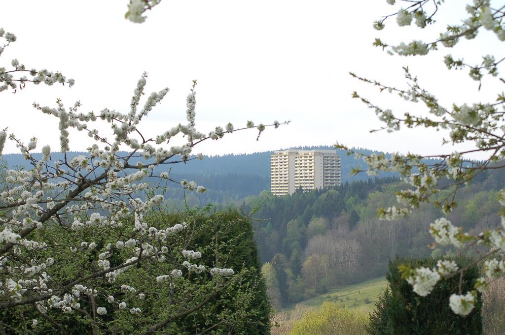 Panoramic Apartments Hohegeiß Eksteriør bilde