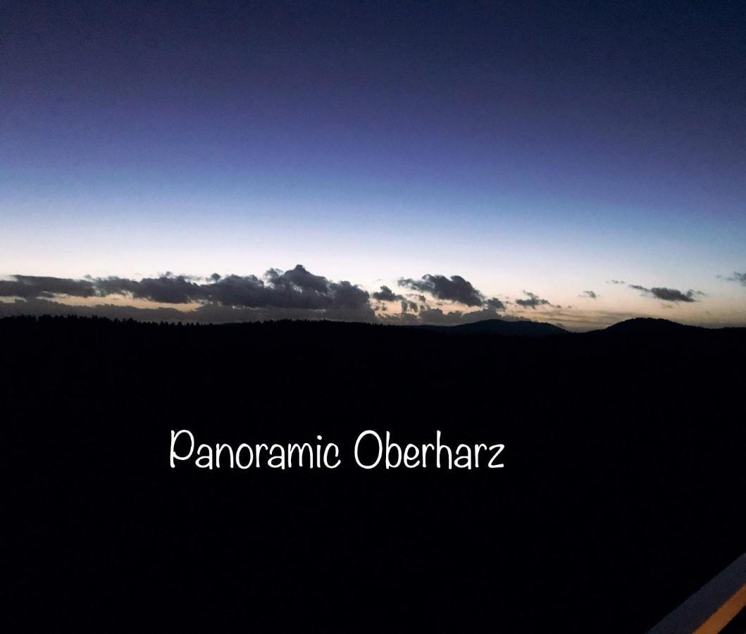 Panoramic Apartments Hohegeiß Eksteriør bilde